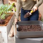 Eco-Friendly Home for Beginners Easy Tips