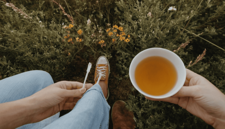 Eco-Friendly Habits Small Changes That Make a Big Difference