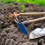 Essential Tools Every Beginner Homesteader Should Have