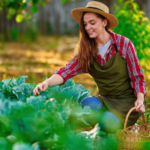 How to Begin Living Off the Land A Homesteading 101