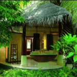 How to Choose Eco-Friendly Accommodations