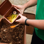How to Start Composting at Home A Step-by-Step Guide