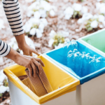 How to Start a Recycling Routine in Your Household
