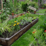 How to Start a Small Backyard Farm for Fresh Produce