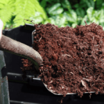 Simple Steps to Start Composting at Home
