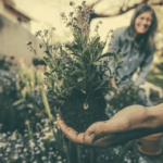 Sustainable Living Tips for Busy People