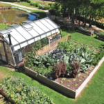 The Basics of Self-Sufficiency How to Provide for Yourself