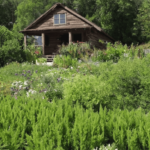 What Is Sustainable Living and Why Does It Matter