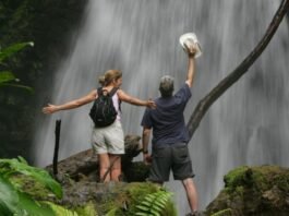 This image depicts a confident woman hiking through a verdant rainforest toward a cascading waterfall, embodying the essence of sustainable travel. She carries a lightweight backpack filled with eco-friendly gear, dressed in ethical activewear, surrounded by pristine natural scenery that highlights biodiversity conservation. The scene captures the empowerment of solo exploration in harmony with the environment, with soft sunlight filtering through the canopy to evoke tranquility and responsibility. Sustainable Travel Products Revolutionizing Women's Journeys